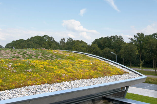 Hardenberg动物诊所项目-6