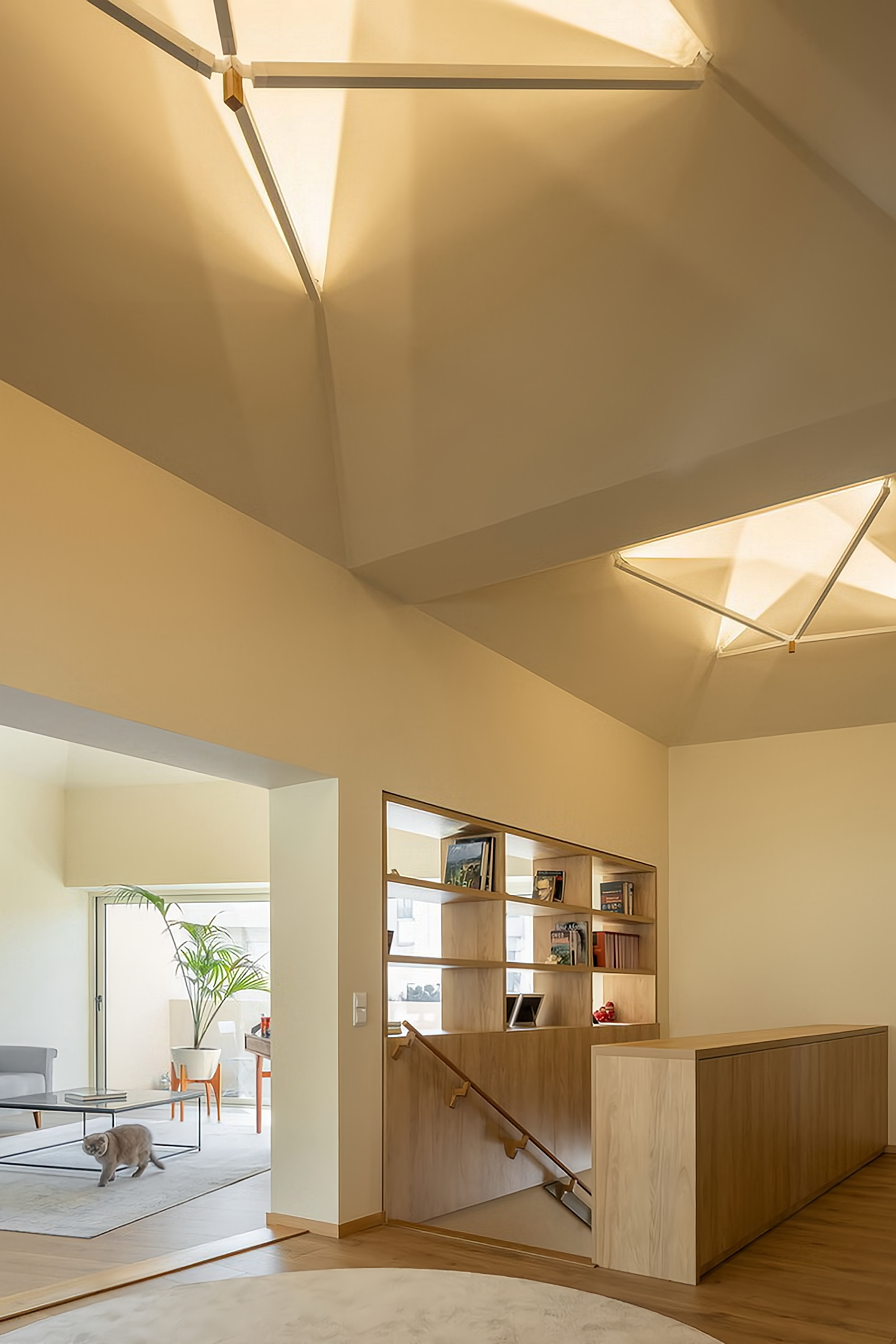 葡萄牙 | 美丽的乡村住宅 | 2020 | Ren Ito Arq-7