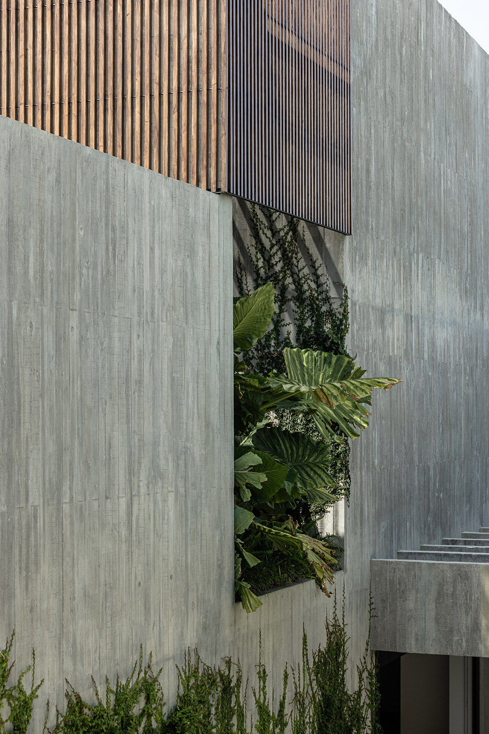 Colinas之家丨葡萄牙丨Atelier Data-38