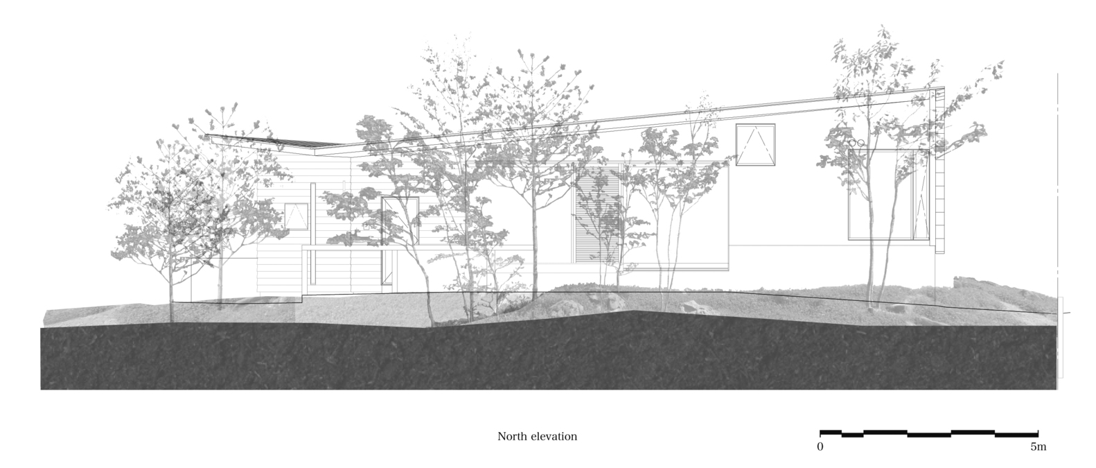 绿意盎然之家丨日本大阪丨Masaaki Mitani-48
