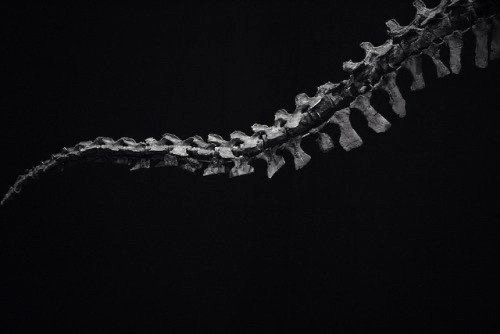 知嘛健康成都春熙路店丨中国成都丨WUUX無象空間建筑-188