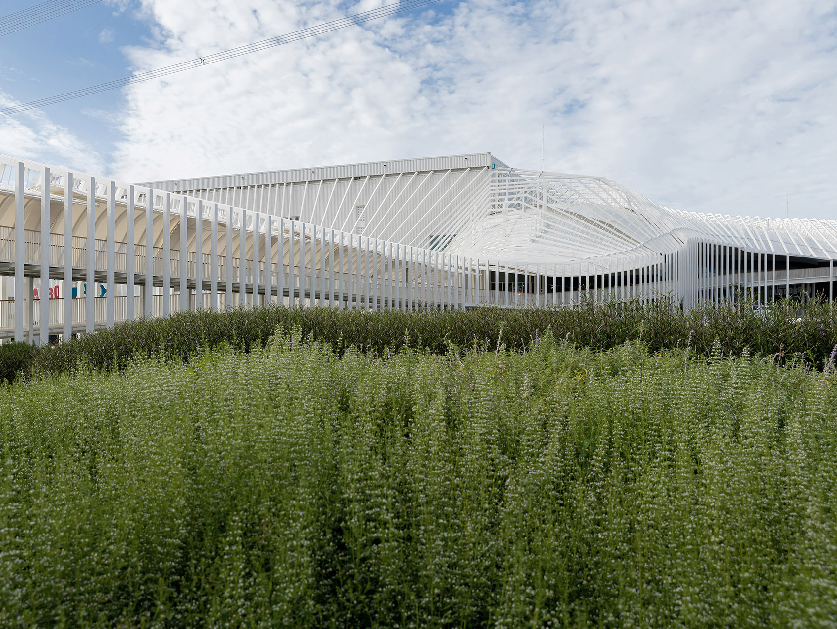 Megapark商业综合体改造,曼谷 / Architectkidd-11