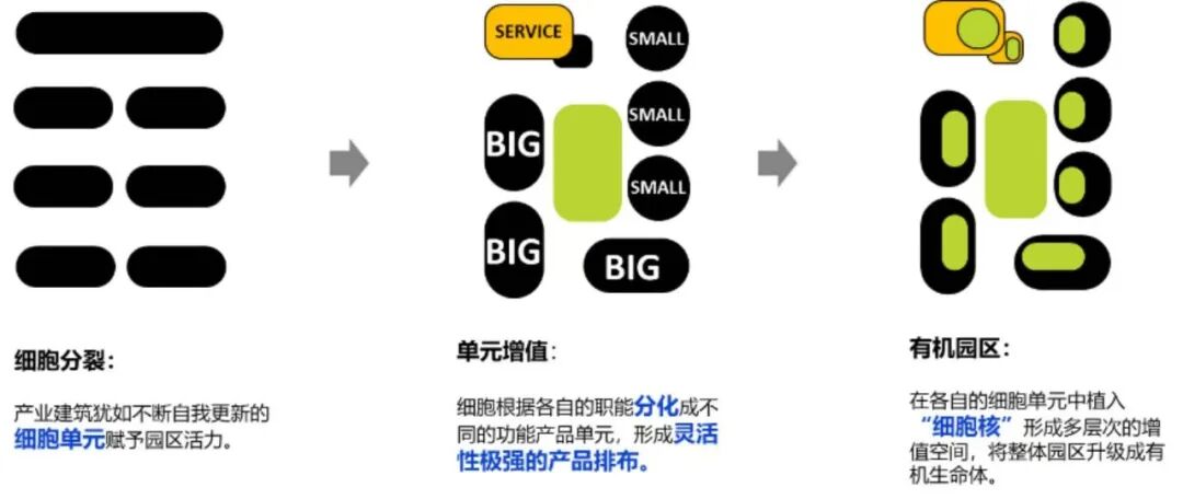 北京的新变量：成为那2%的变量识别者-71