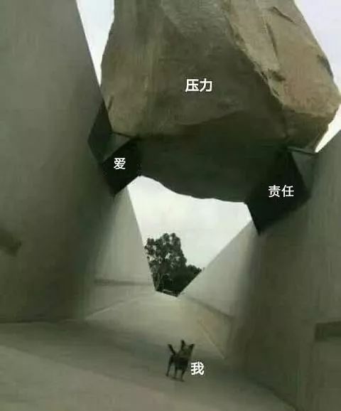 与设计师恋爱的九大好处-109