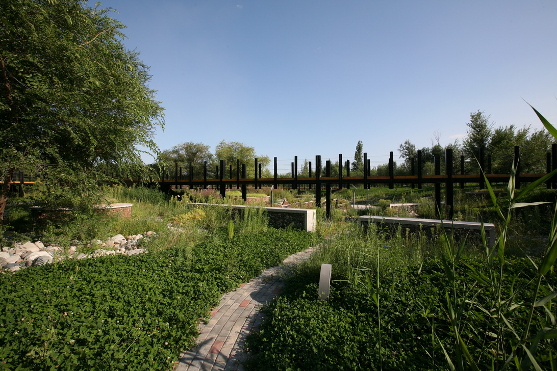 新疆博乐人民公园改造-33