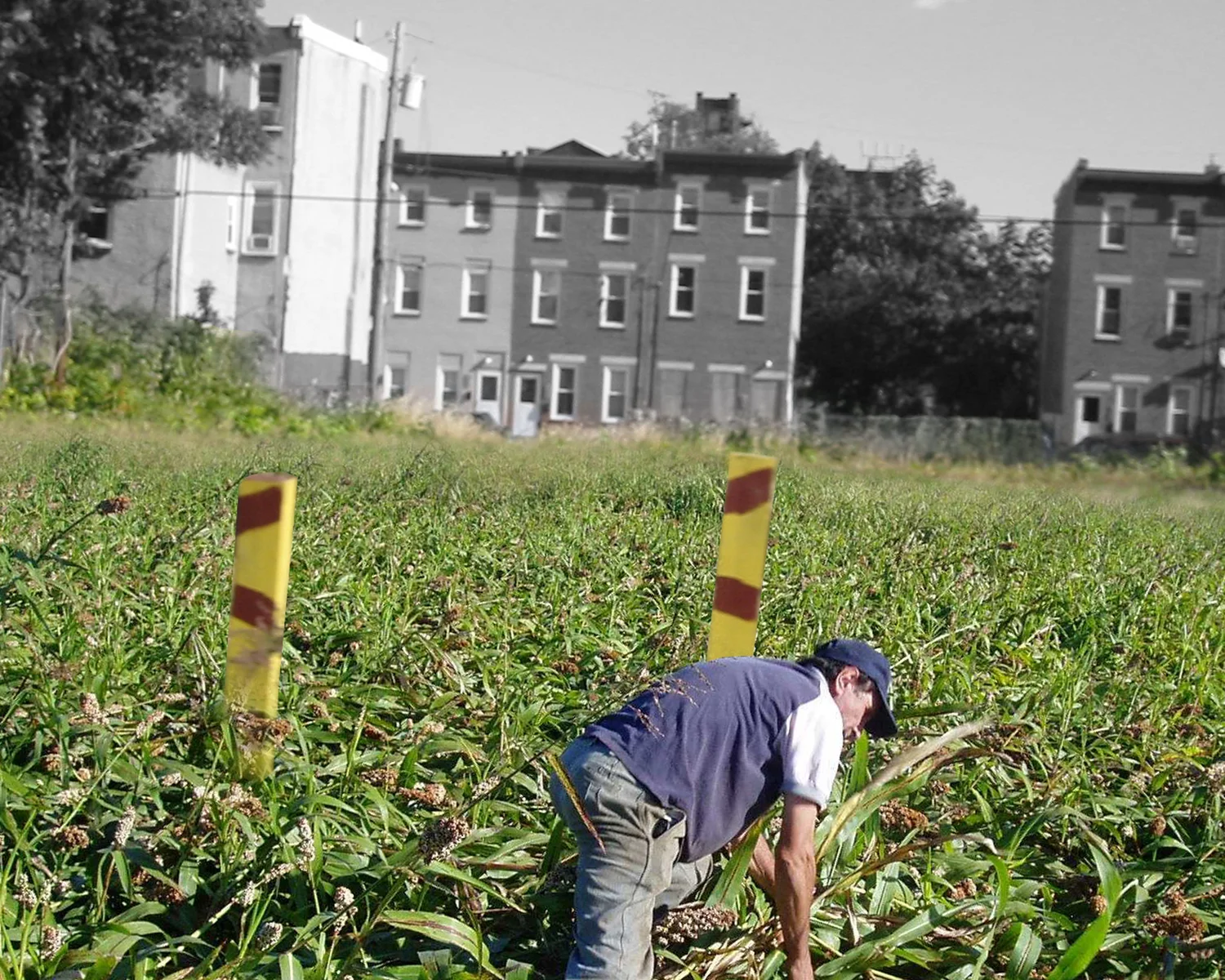 费城农场城（注：Farmadelphia可能是一个结合了farm（农场）和Philadelphia（费城）创造出来的词，推测有这样的含义，若有特定背景需结合实际情况） 丨FRONT STUDIO ARCHITECTS-4