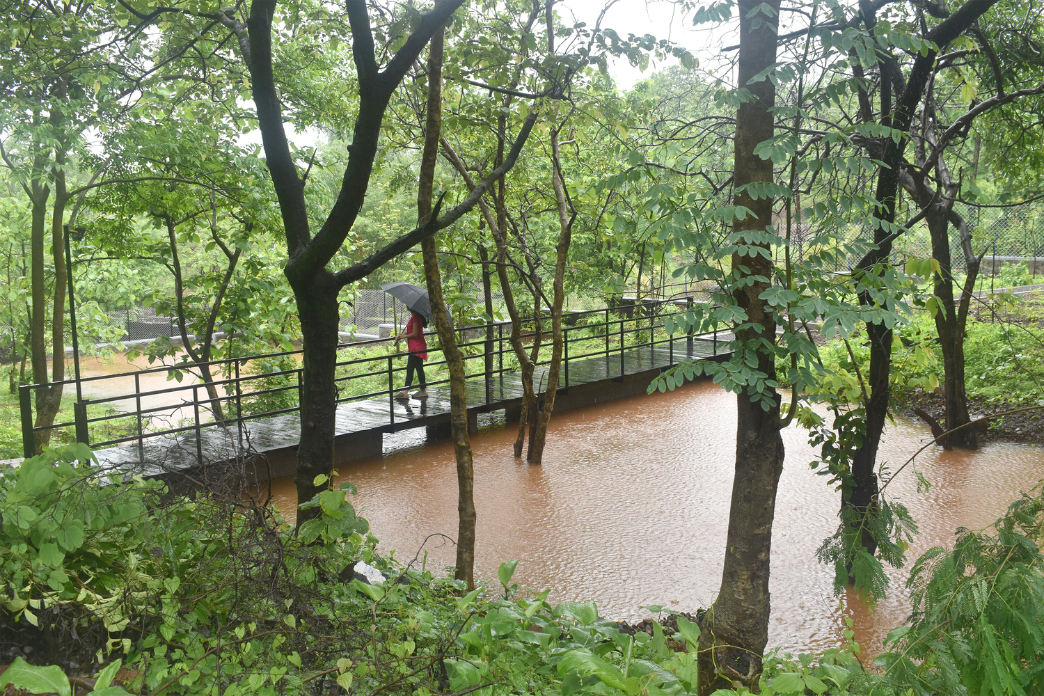 印度 Karjat 市 The Bridge Dam丨architecture INNATE-27