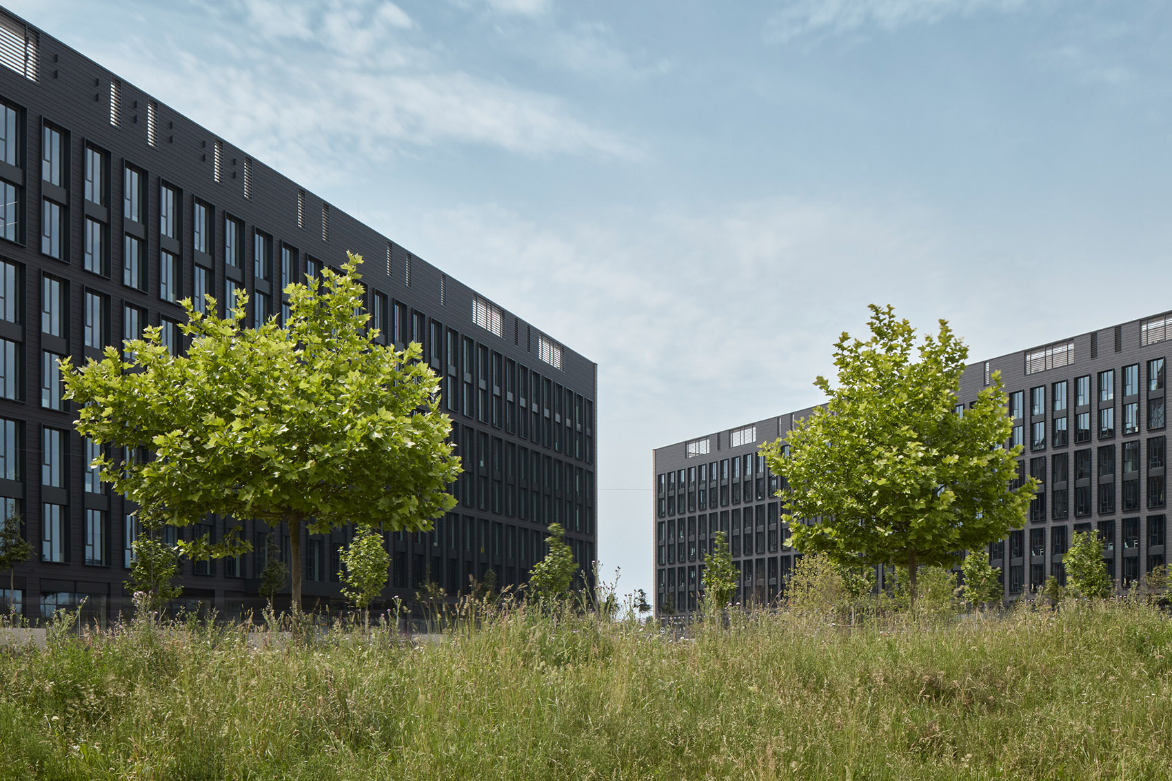 RUSTONKA办公楼,布拉格 / CMC Architects-31