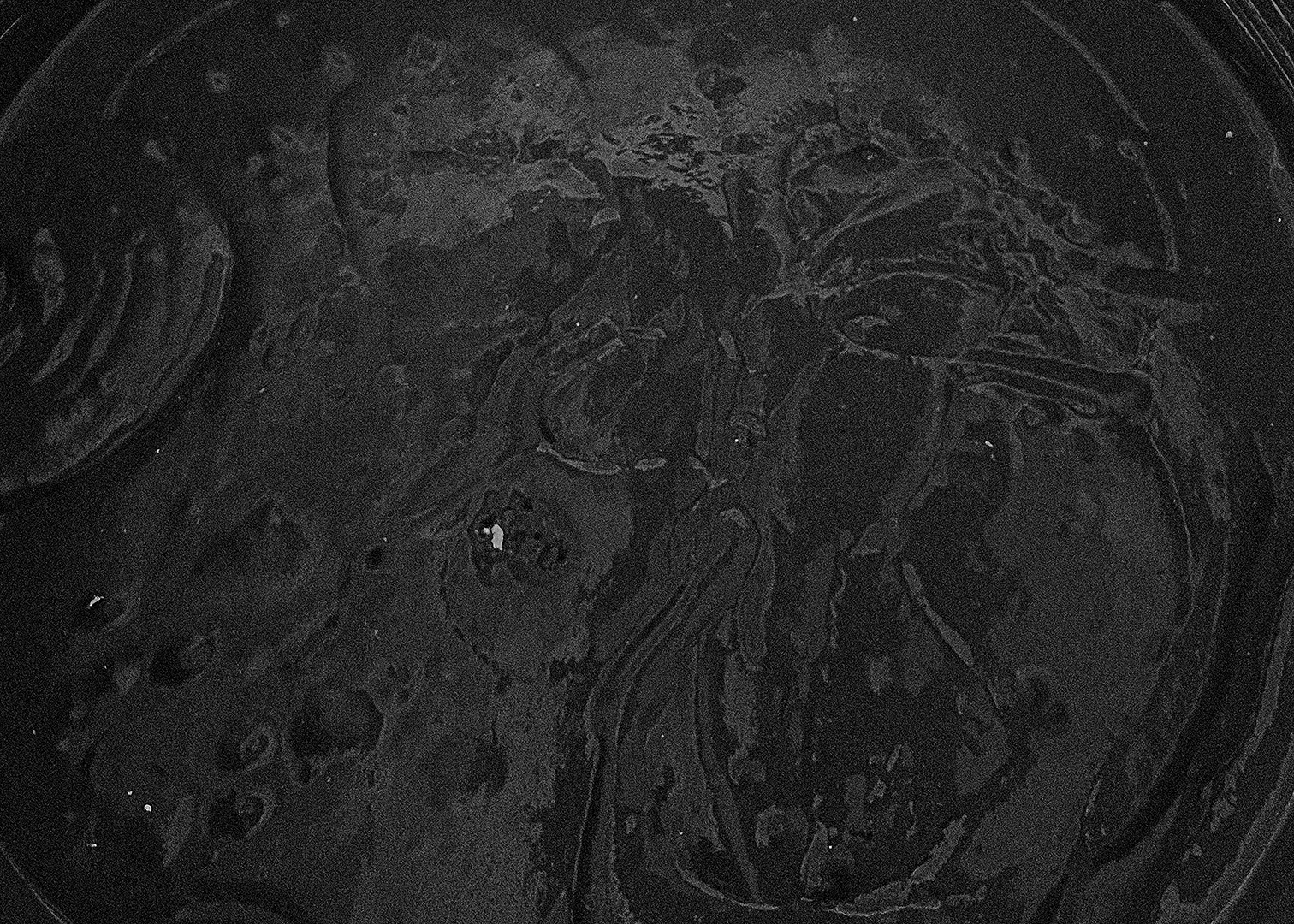 新作 ACT STUDIO CASA RONG 情感肌理丨中国杭州丨水丁集设计,ACT STUDIO-5