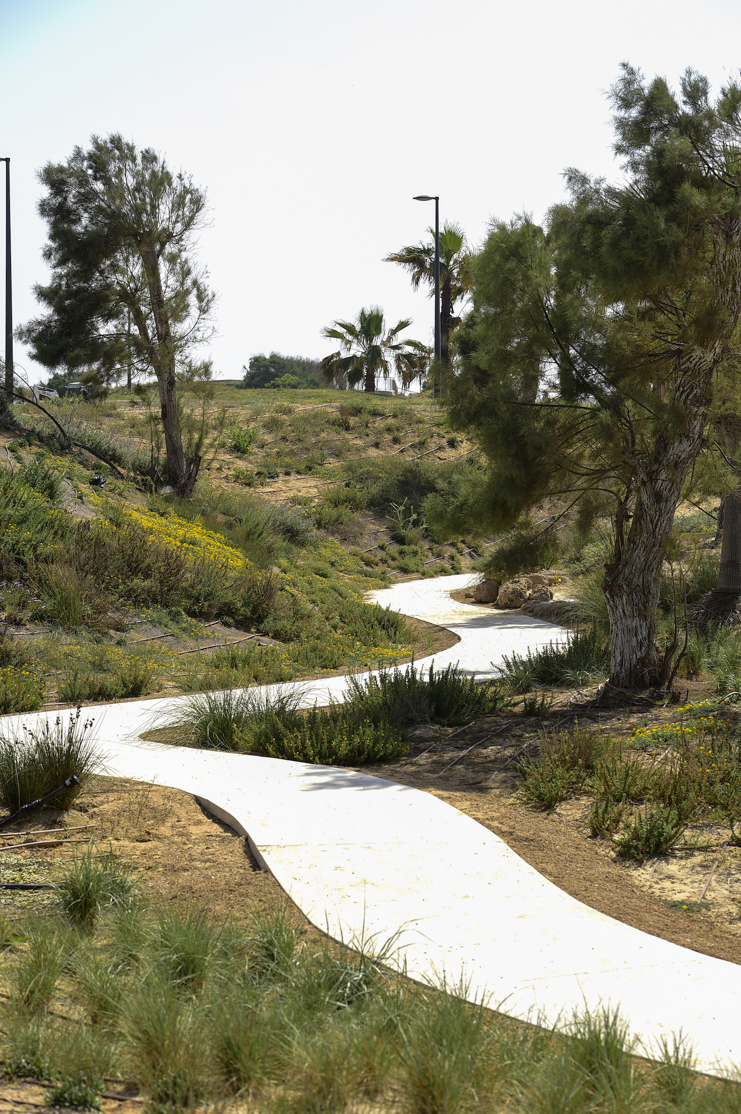 阿什克伦海洋公园 / Mayslits Kassif Roytman Architects-10