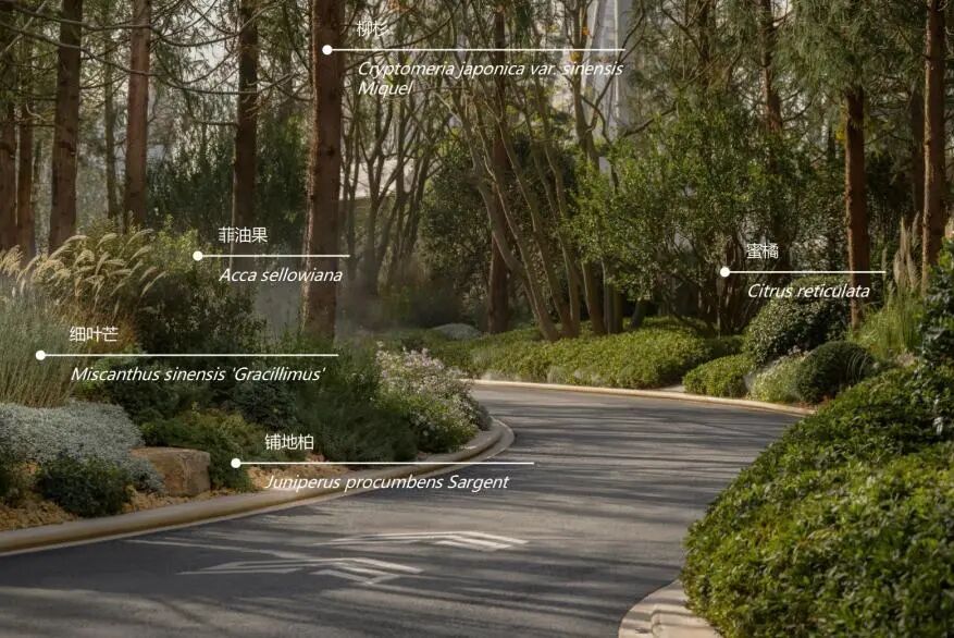 安澜·上海丨中国上海丨翊象设计(方案),LAURENT罗朗设计(施工图,监造)-14