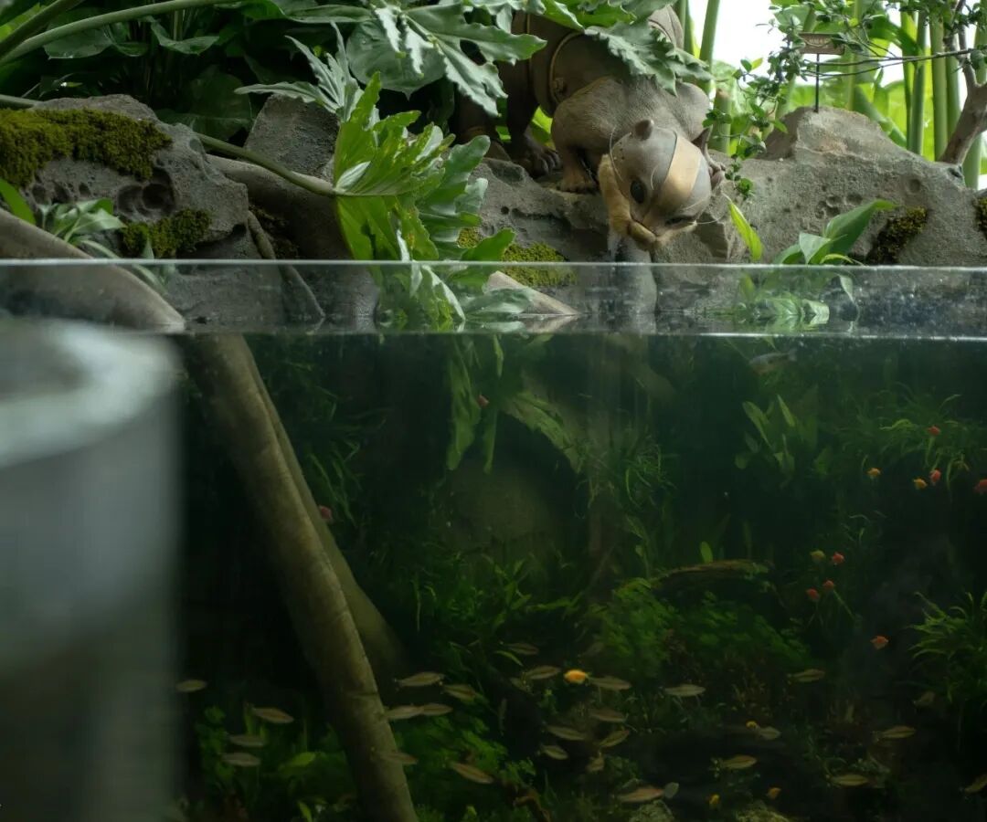 重庆光环花园城·世界树 光环2.0之机械魔法森林丨中国重庆丨WTD纬图设计-32