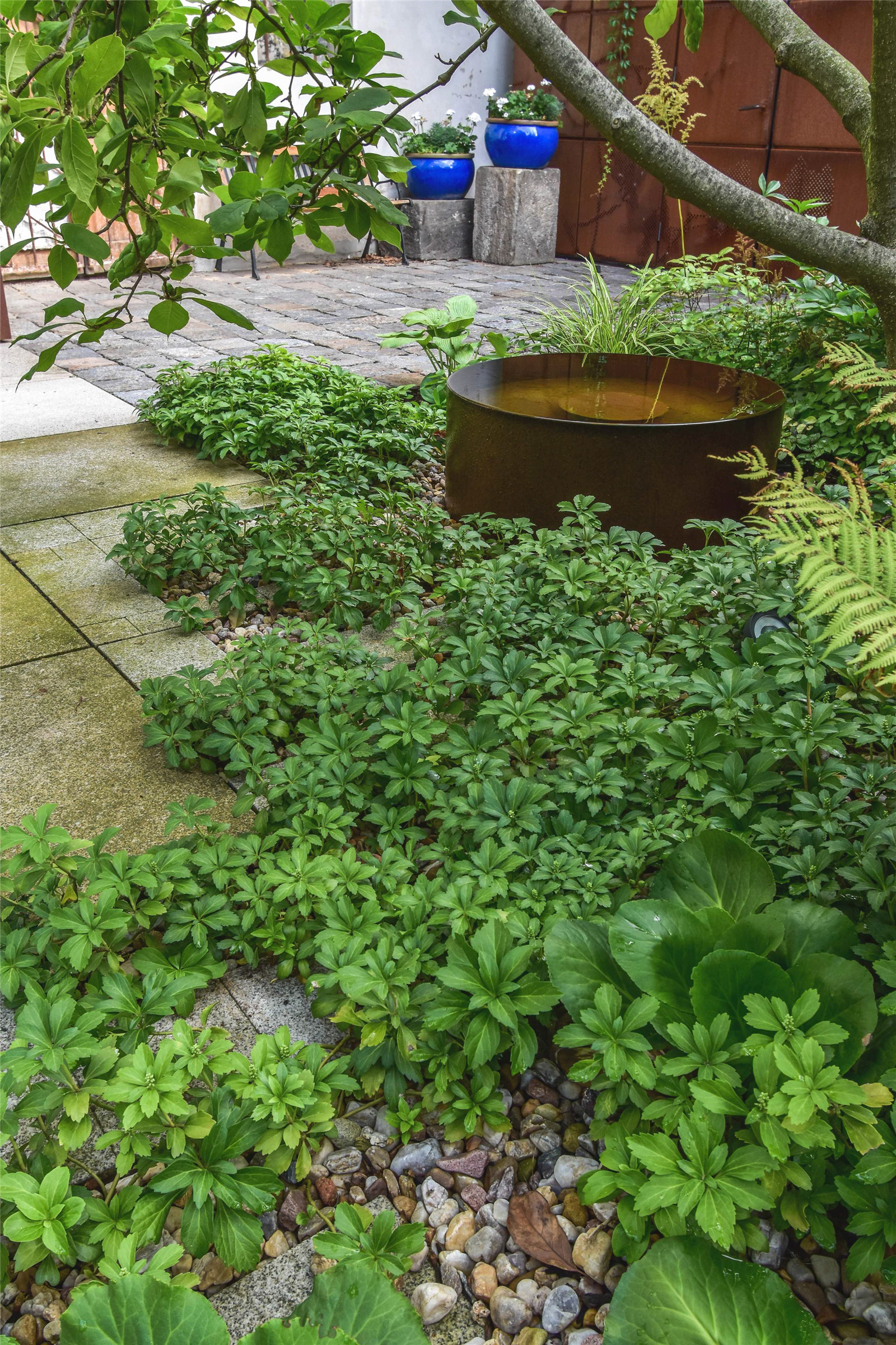 捷克利托米什尔住宅庭院景观丨Atelier Partero-33