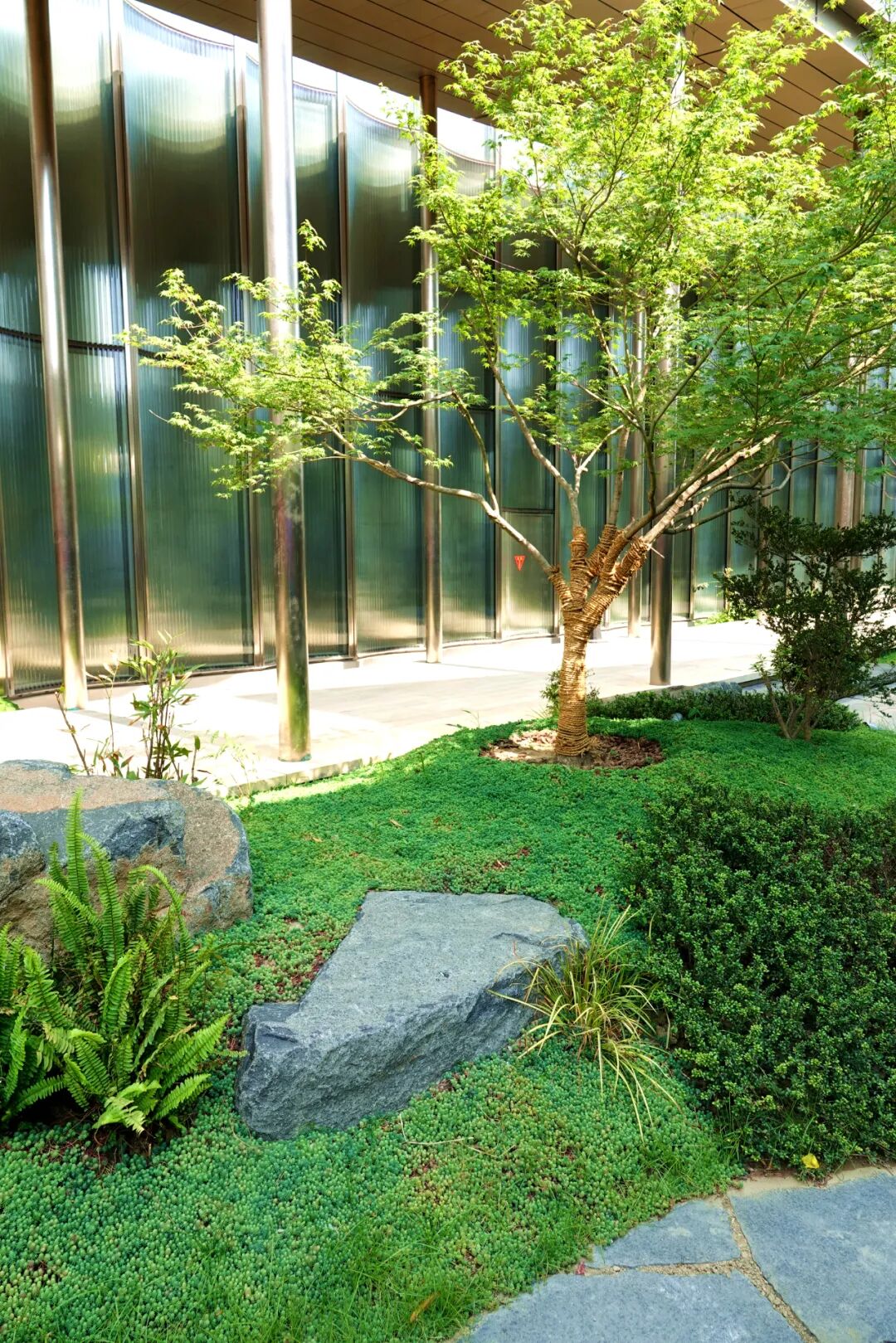 金鸡湖右岸城市客厅亮相！苏州新地标抢先看→-55