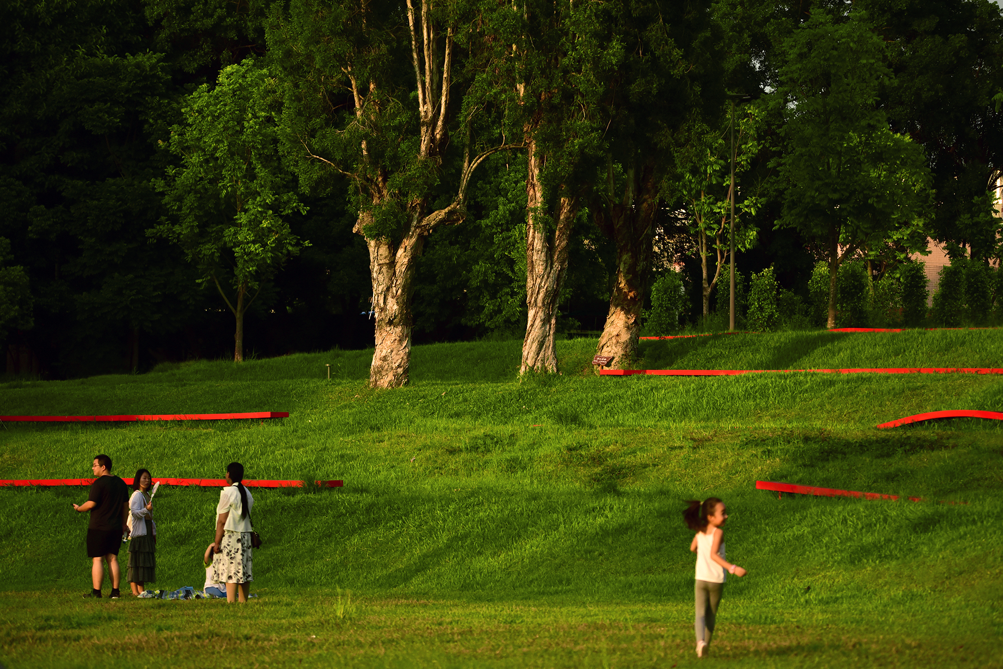 深圳光明虹桥1958生态公园丨中国深圳丨深圳自组空间,深圳市建筑科学研究院股份有限公司-26