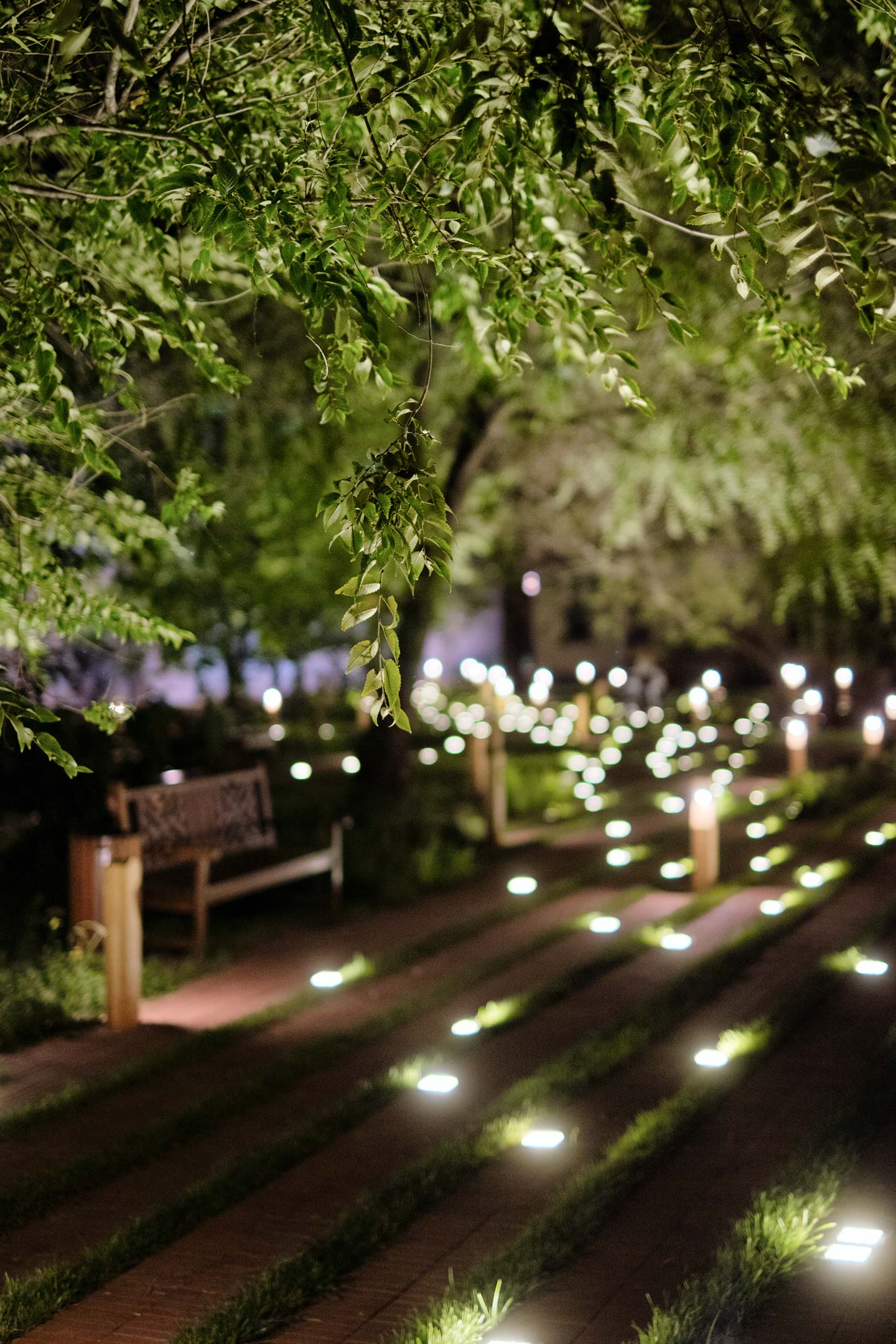 科洛姆纳克里姆林宫城墙下的“闪亮”广场丨俄罗斯丨abbasis-17