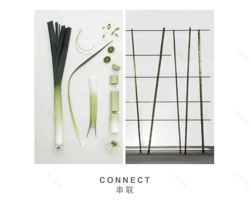 MWC韶康设计 | 葱间 · 秩序与自然之美-2