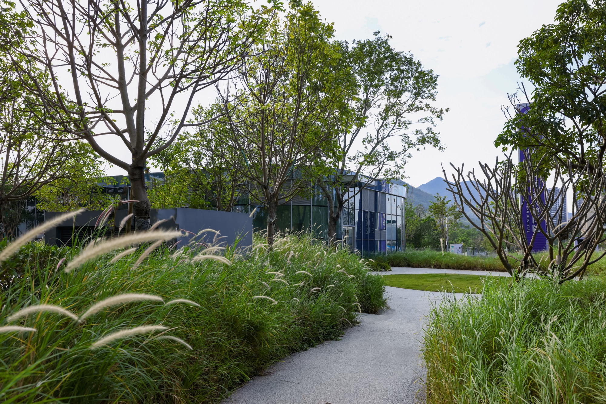 深圳市第二人民医院大鹏医院丨中国深圳丨景观设计为深圳市希尔景观设计有限公司等多家-49