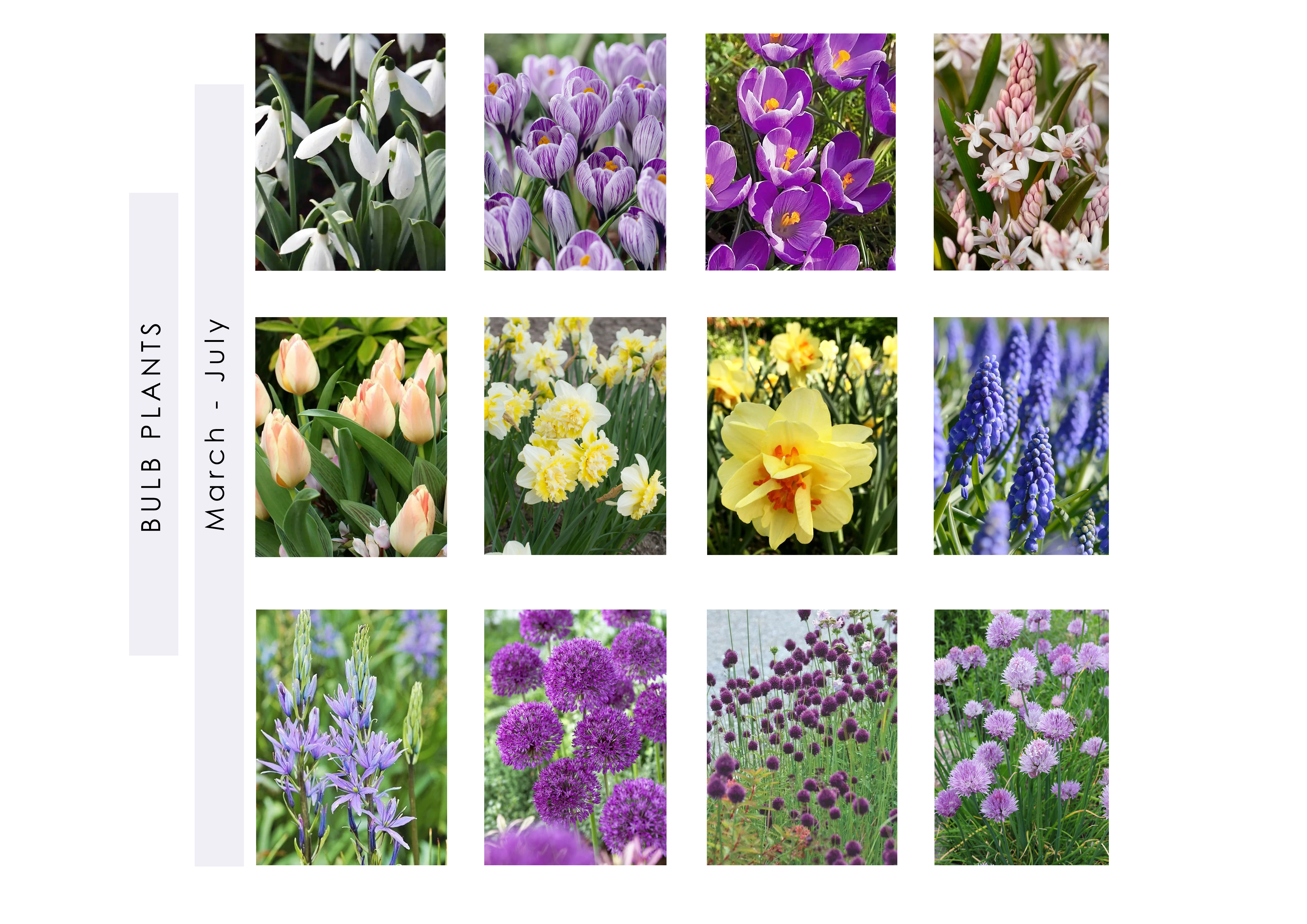 Private garden, 2023-9