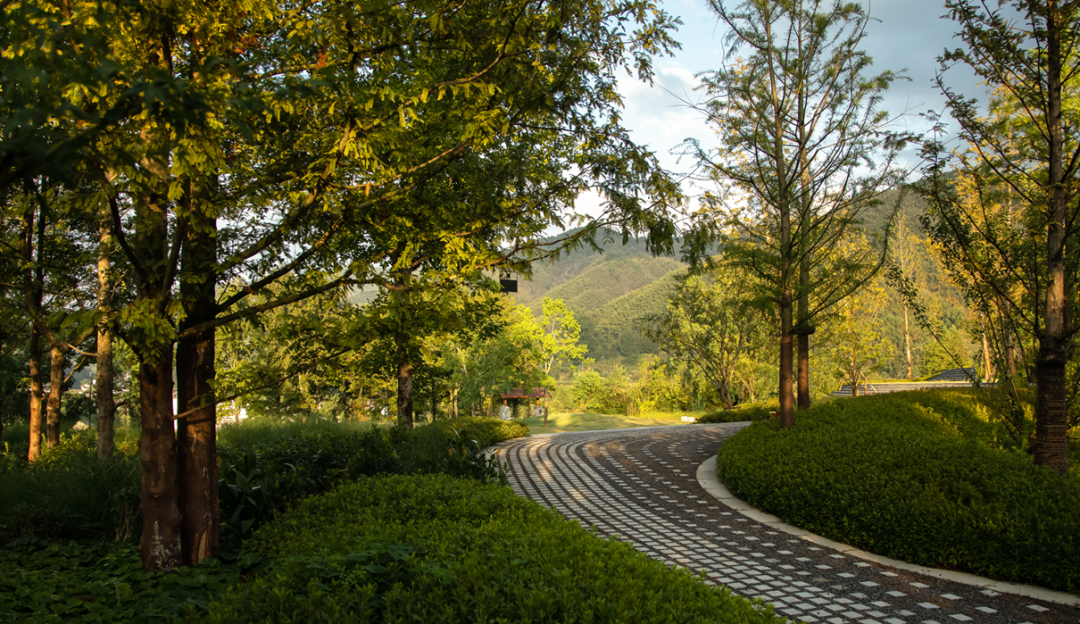 黄山悦榕庄（C 地块）·黄山文化村丨中国黄山丨瀚世景观规划设计（上海）有限公司-22