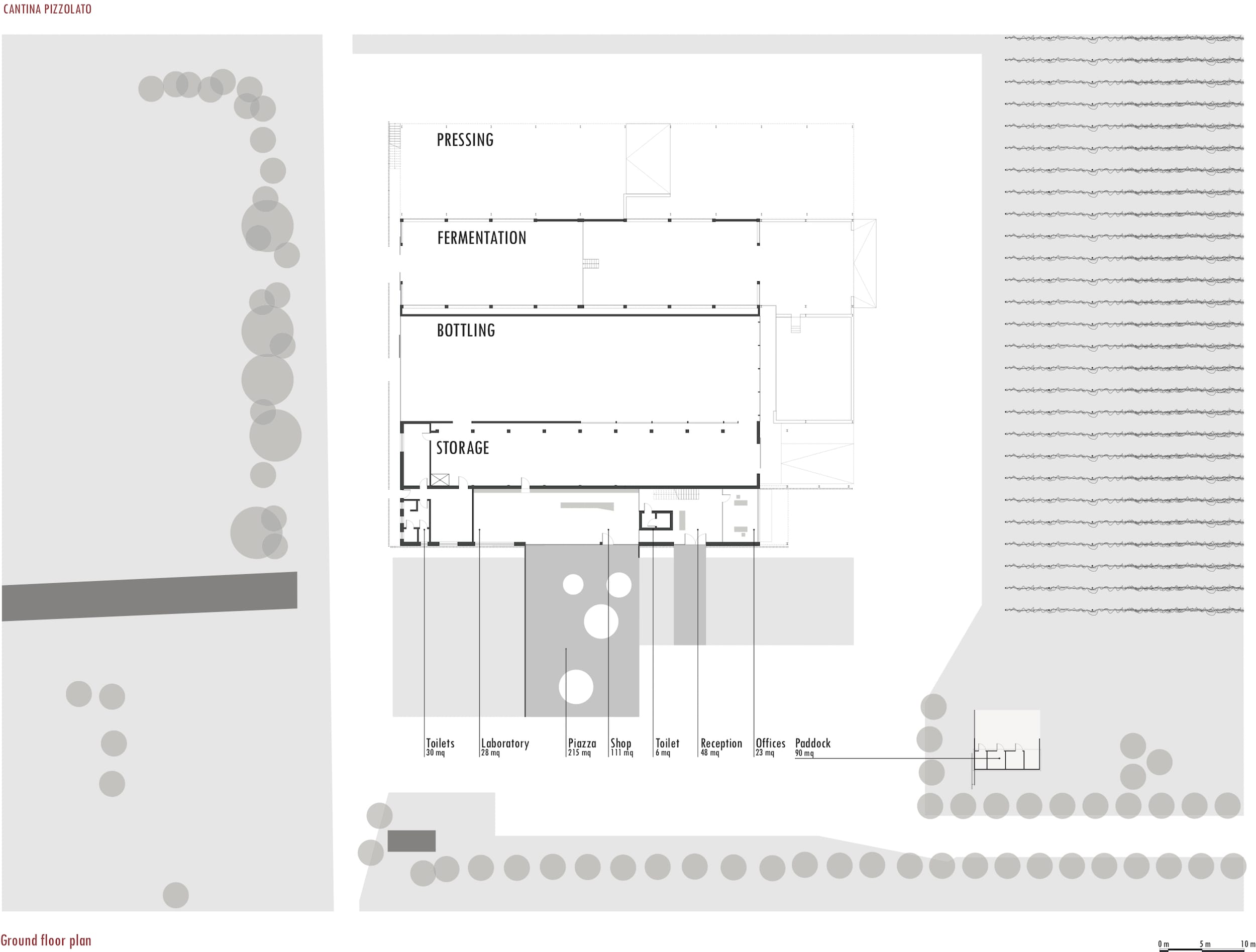 意大利酒厂新生 LA CANTINA PIZZOLATO · NEW BIO WINERY,MADE associati-36