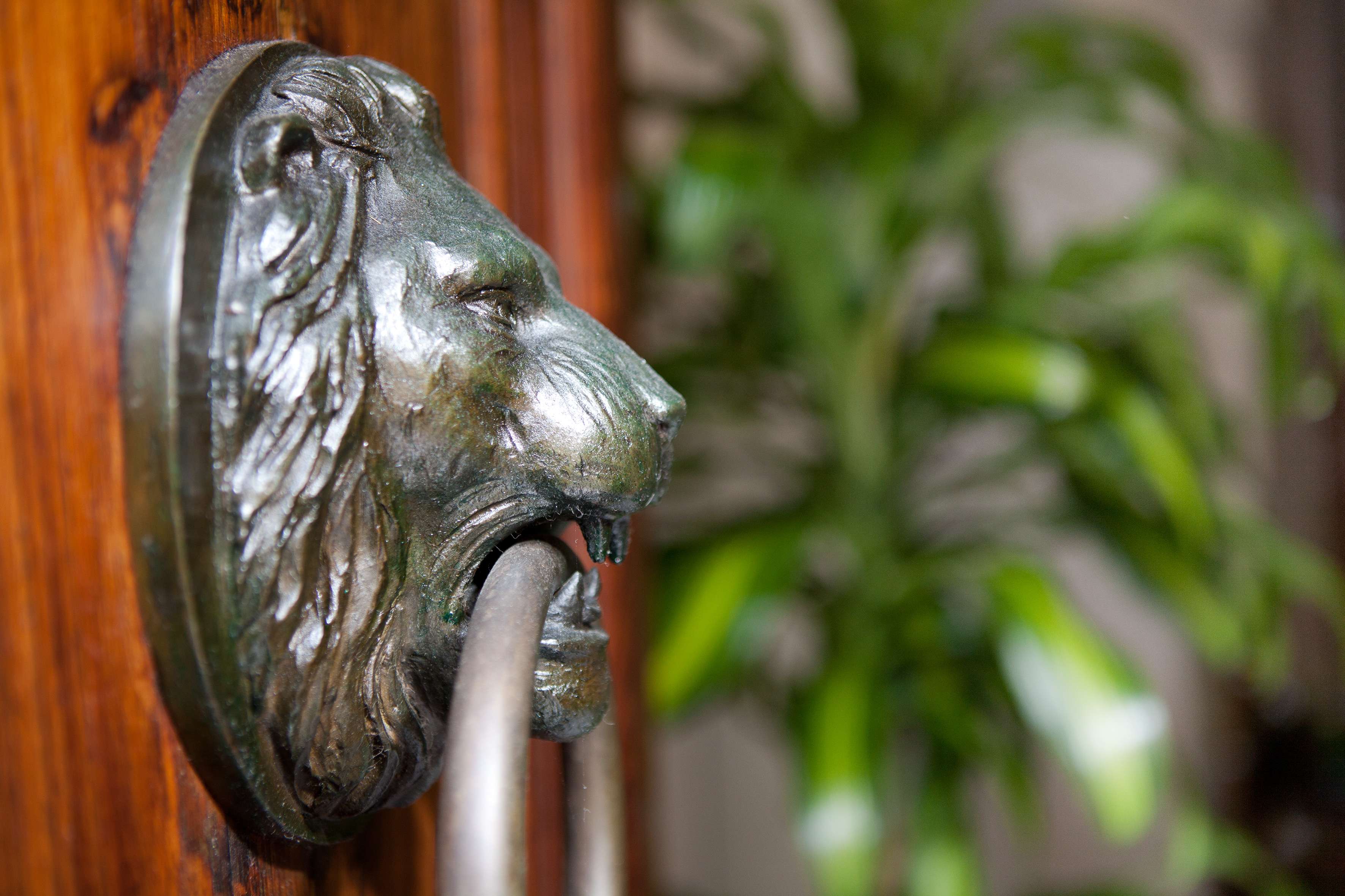 Albergo Pietrasanta（意大利阿尔伯格彼得拉桑塔酒店）-29