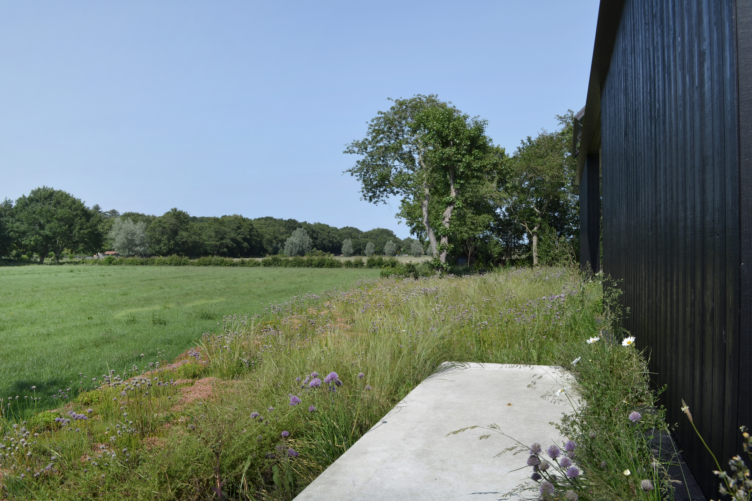 斯霍尔花园丨荷兰丨Andrew van Egmond-8