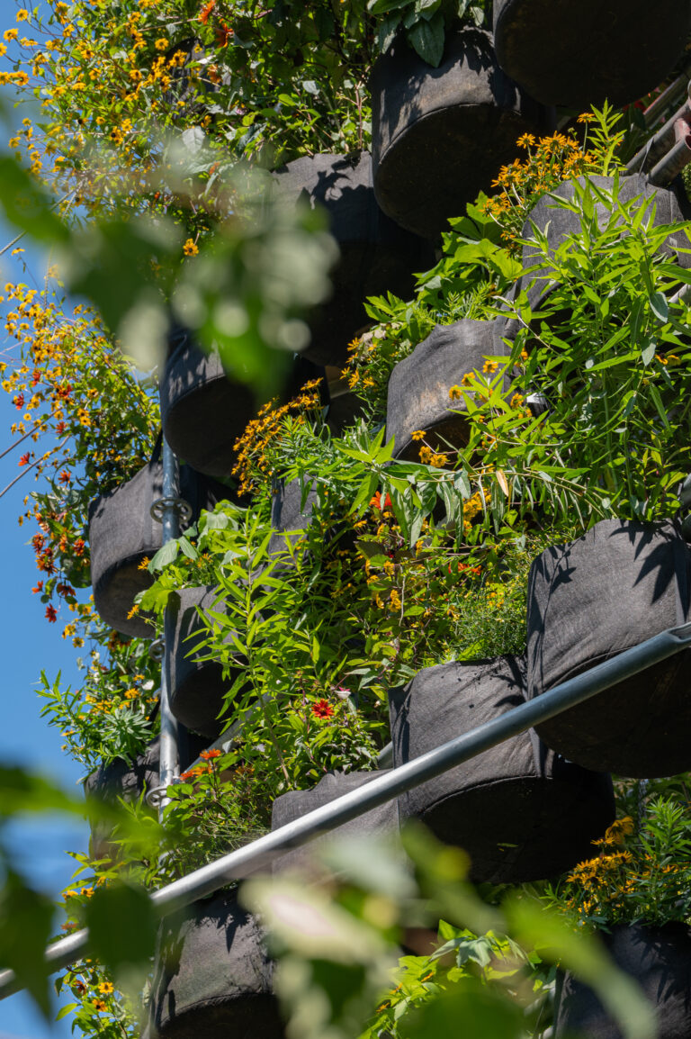 宝利大自然——城市生态系统

注：POLINATURE可能是一个品牌名或特定名称，这里音译为宝利大自然，如果它有特定规范译法，请结合实际情况调整 丨美国丨未明确提及主导设计方-76
