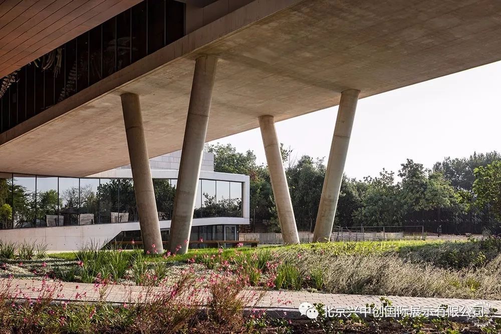 奇特的外立面中暗藏展品，这座博物馆处处充满惊喜-9