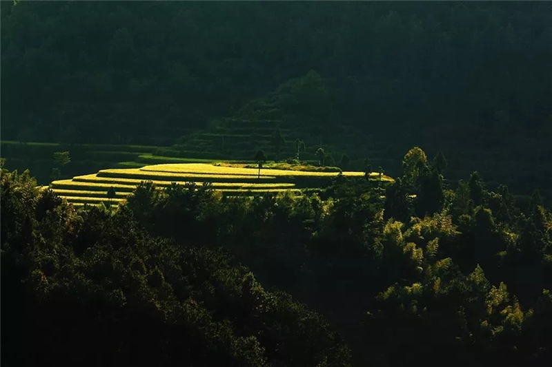 父亲的房子丨杭州品尚设计-22