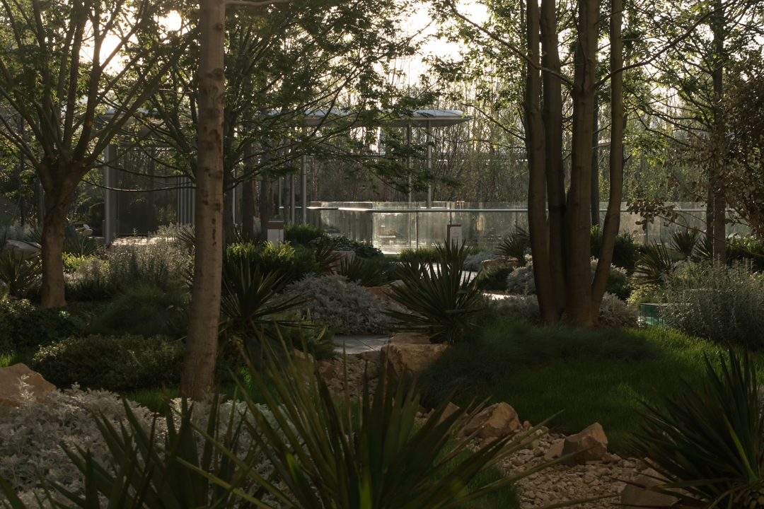 让山林的风，吹向城市|苏州蠡棠森屿-75