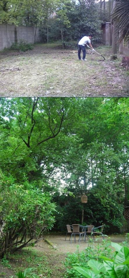 上海洋房里的设计工作室 | 旧物新生,满载人情味-7