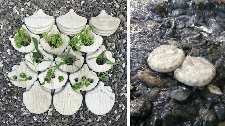 丨美国加利福尼亚-40