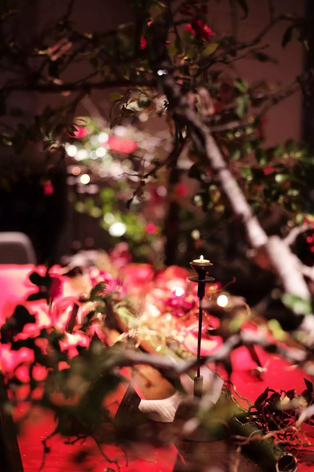 上海丰剧院 | 东方韵律，剪红裁金添烛西窗-39