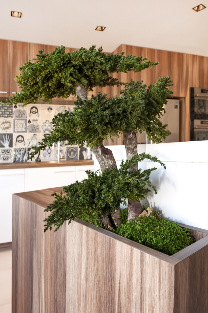 巴黎 Amexio 办公室 - 自然雕塑融入共享空间-18