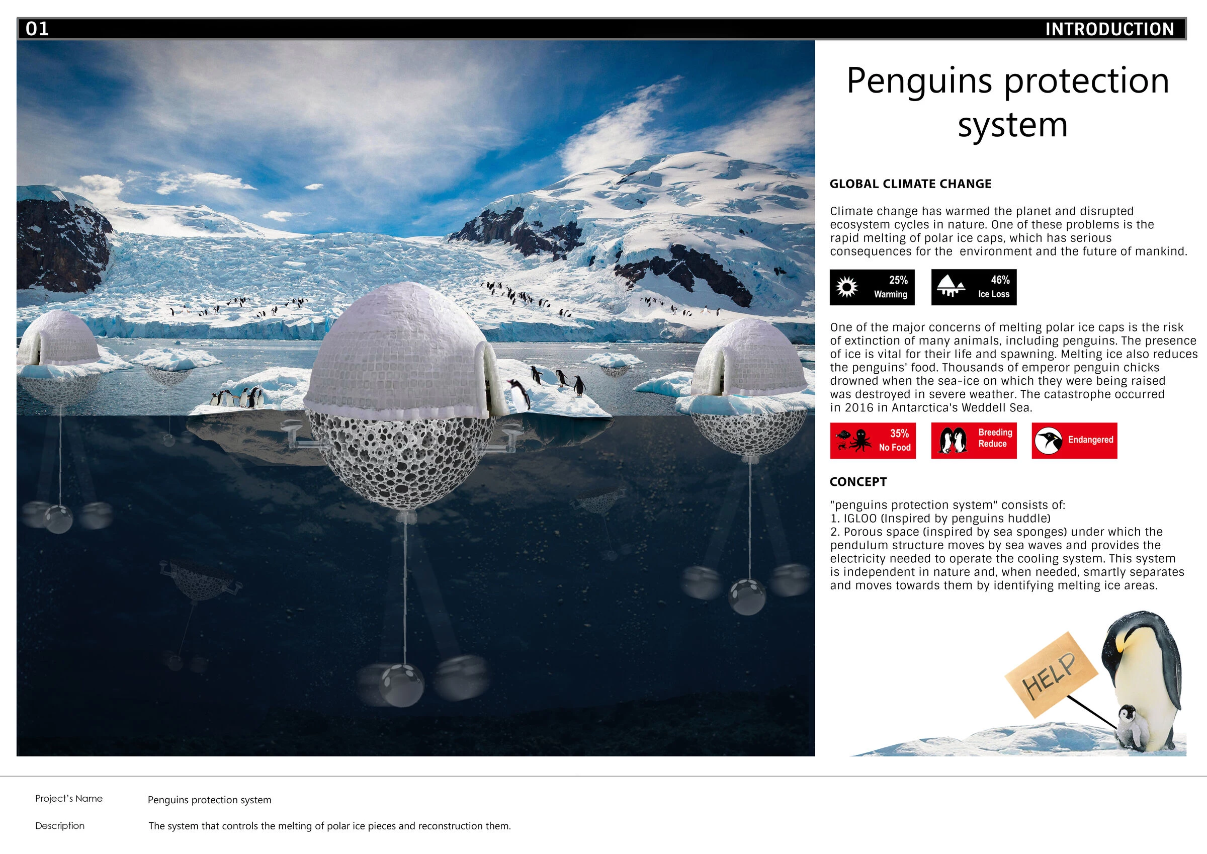 南极企鹅保护系统丨SN（Sajjad Navidi）-25