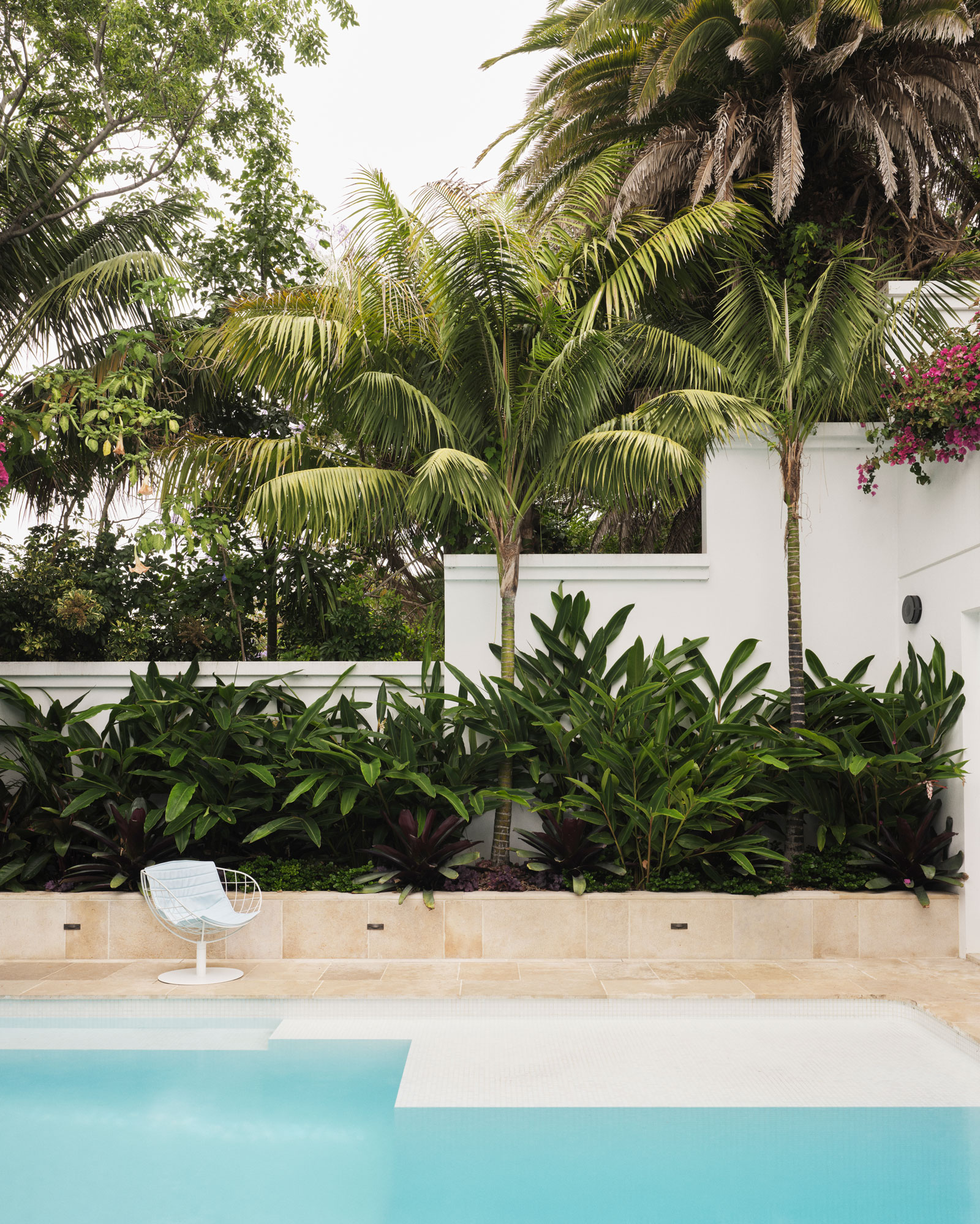 树林住宅丨澳大利亚-24