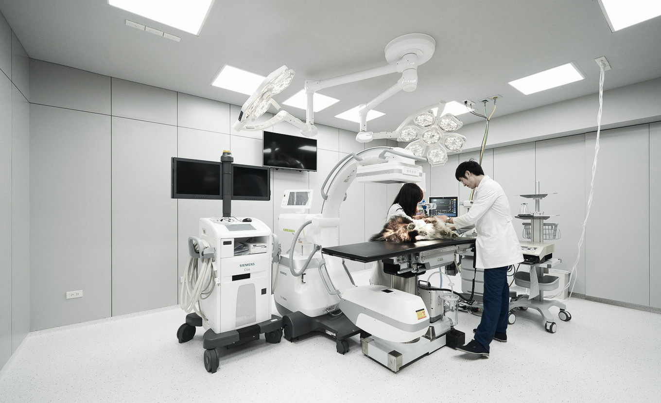 觉知造所设计 | 宠物图书休闲室共享空间-20