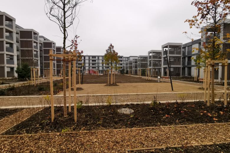 mavo gmbh丨Arealüberbauung Gartenhof Winterthur Wülflingen ZH丨瑞士-20