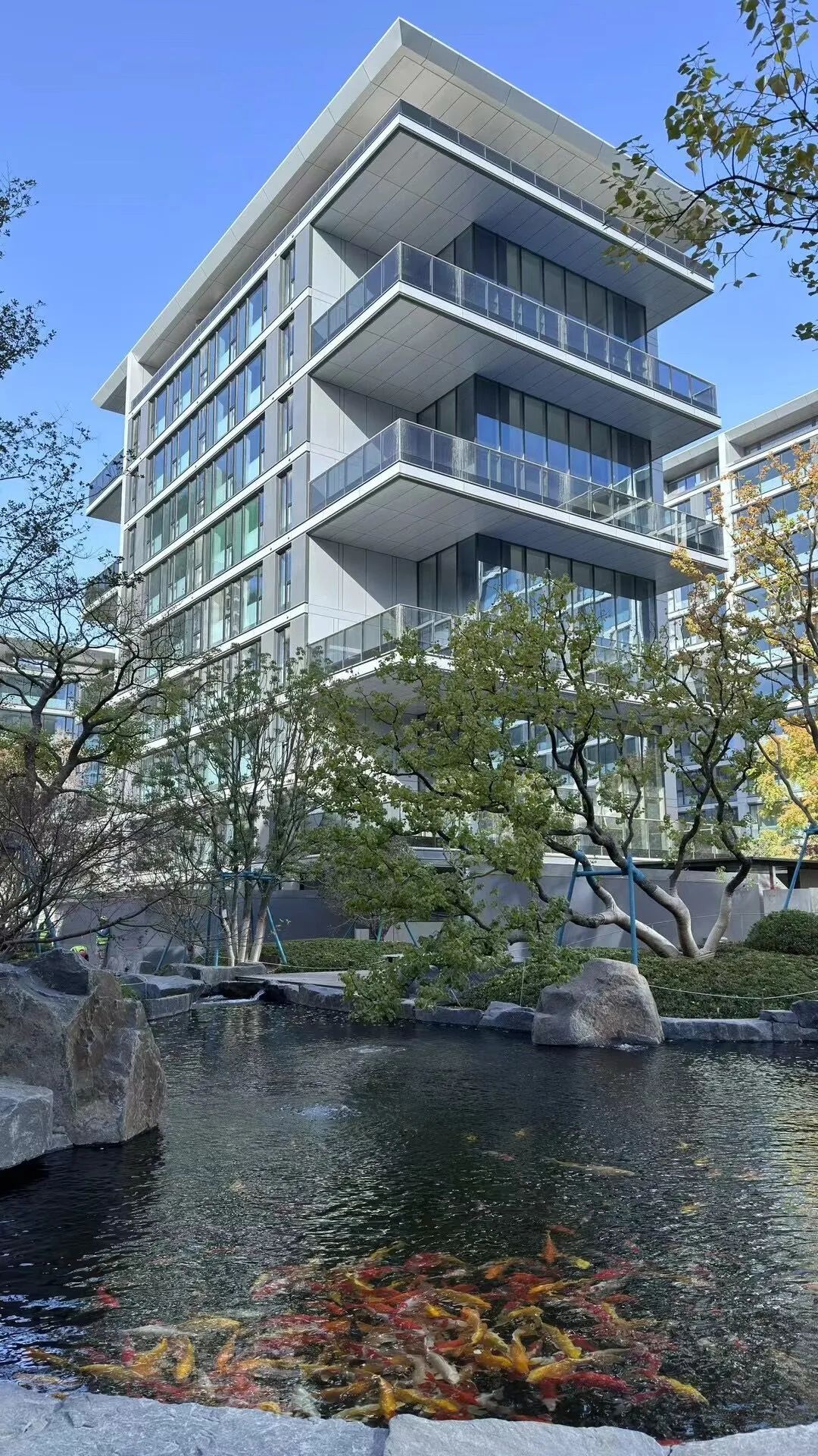 金沙操盘 | 成功经验：从河南火到全国各地（实地考察+主题演讲）-19