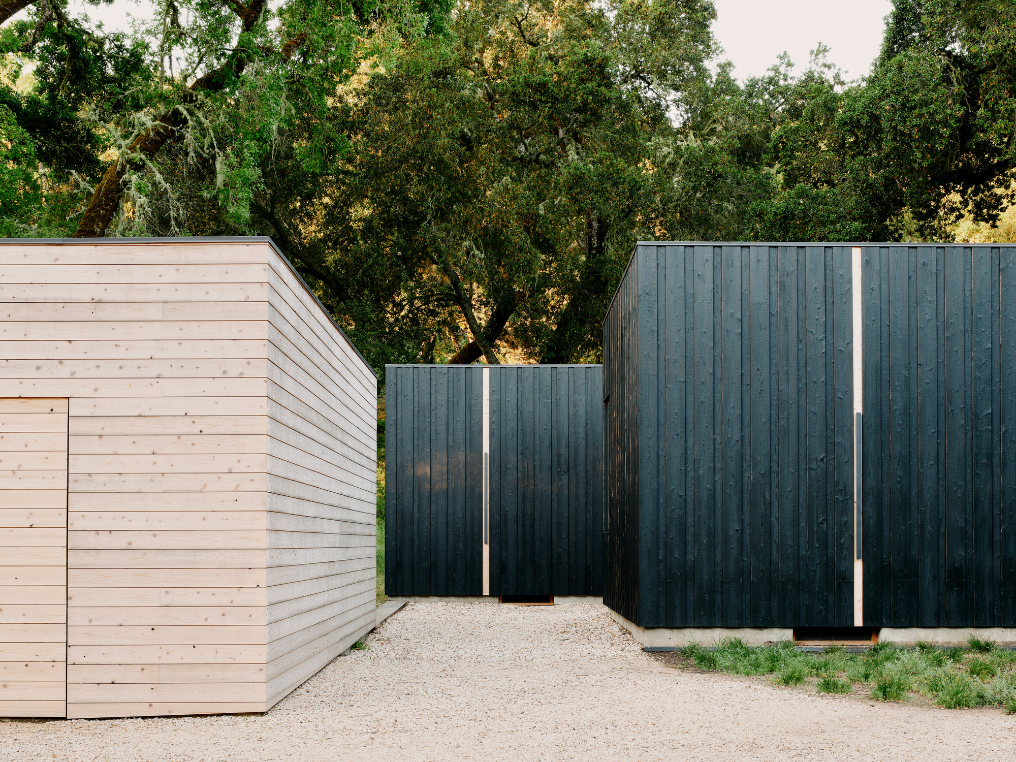 丨美国丨Studio Schicketanz-19