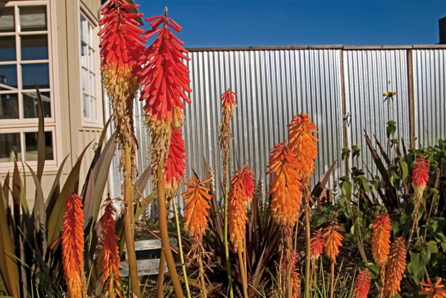 卡内罗斯酒店丨美国加利福尼亚丨OLIN-22