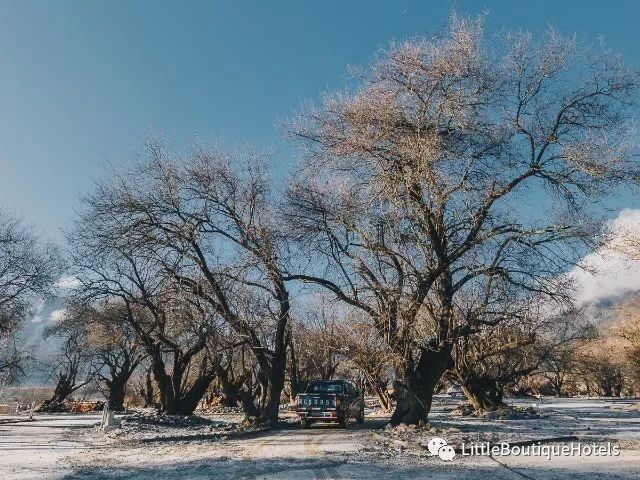 林芝山泽居度假酒店 | 雪山江畔的桃花林仙境-62