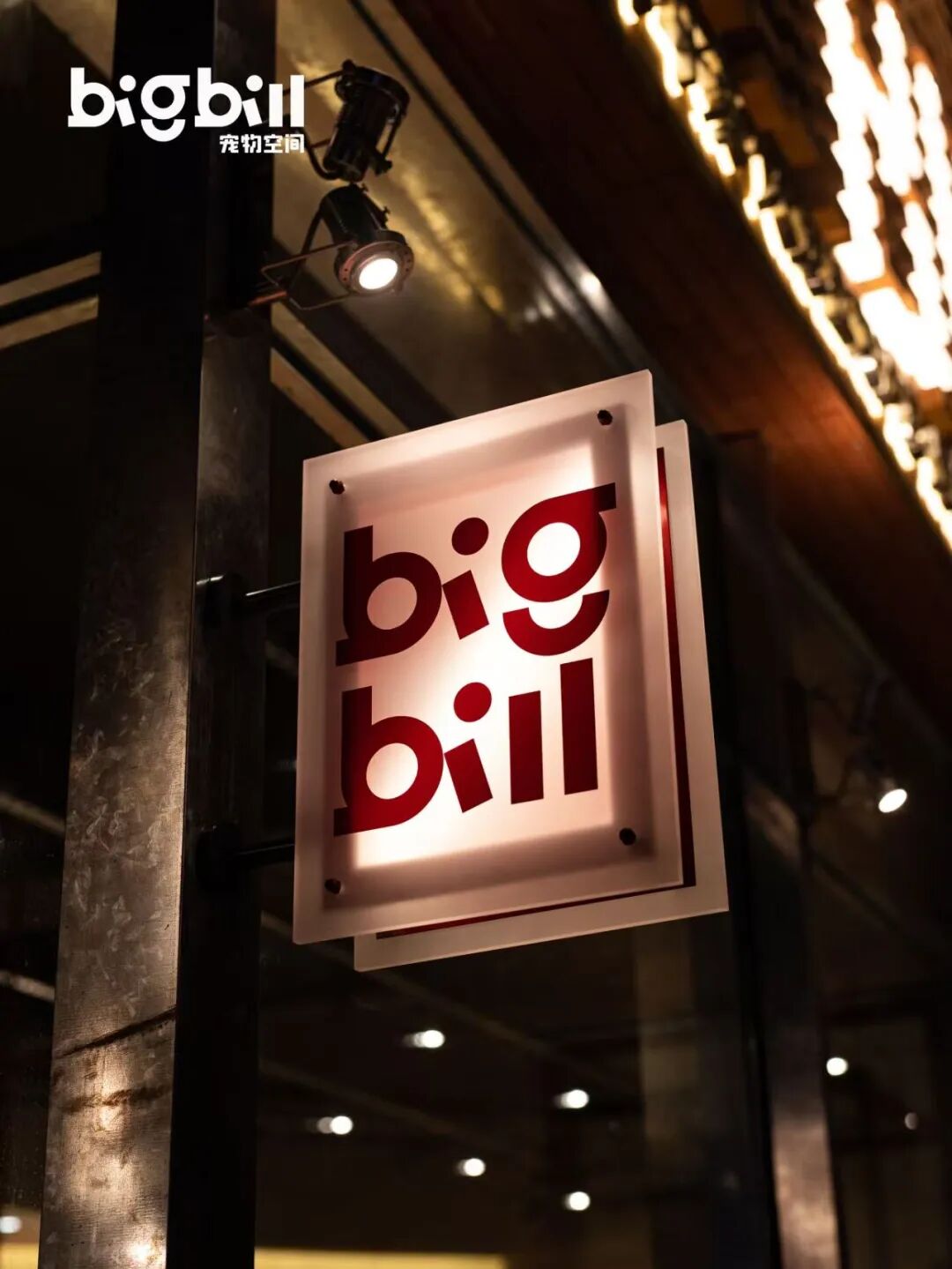 立衡中灯光实景xBIGBILL宠物店-17