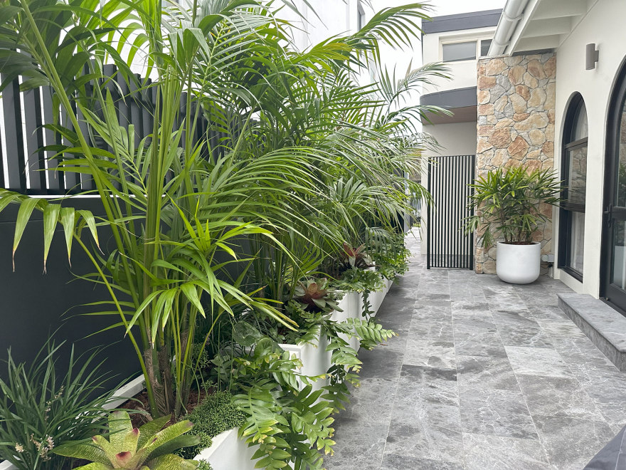 悉尼北岸景观设计丨澳大利亚悉尼丨Vogue & Vine-10