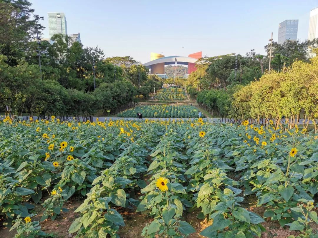 SED 新西林成都、新疆分公司 2019 年终团建活动纪实-153