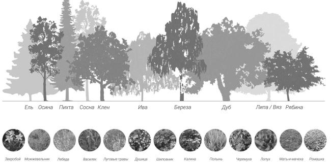明格尔村环境组织与公共空间发展概念设计丨俄罗斯丨设计小组“田野设计”-29