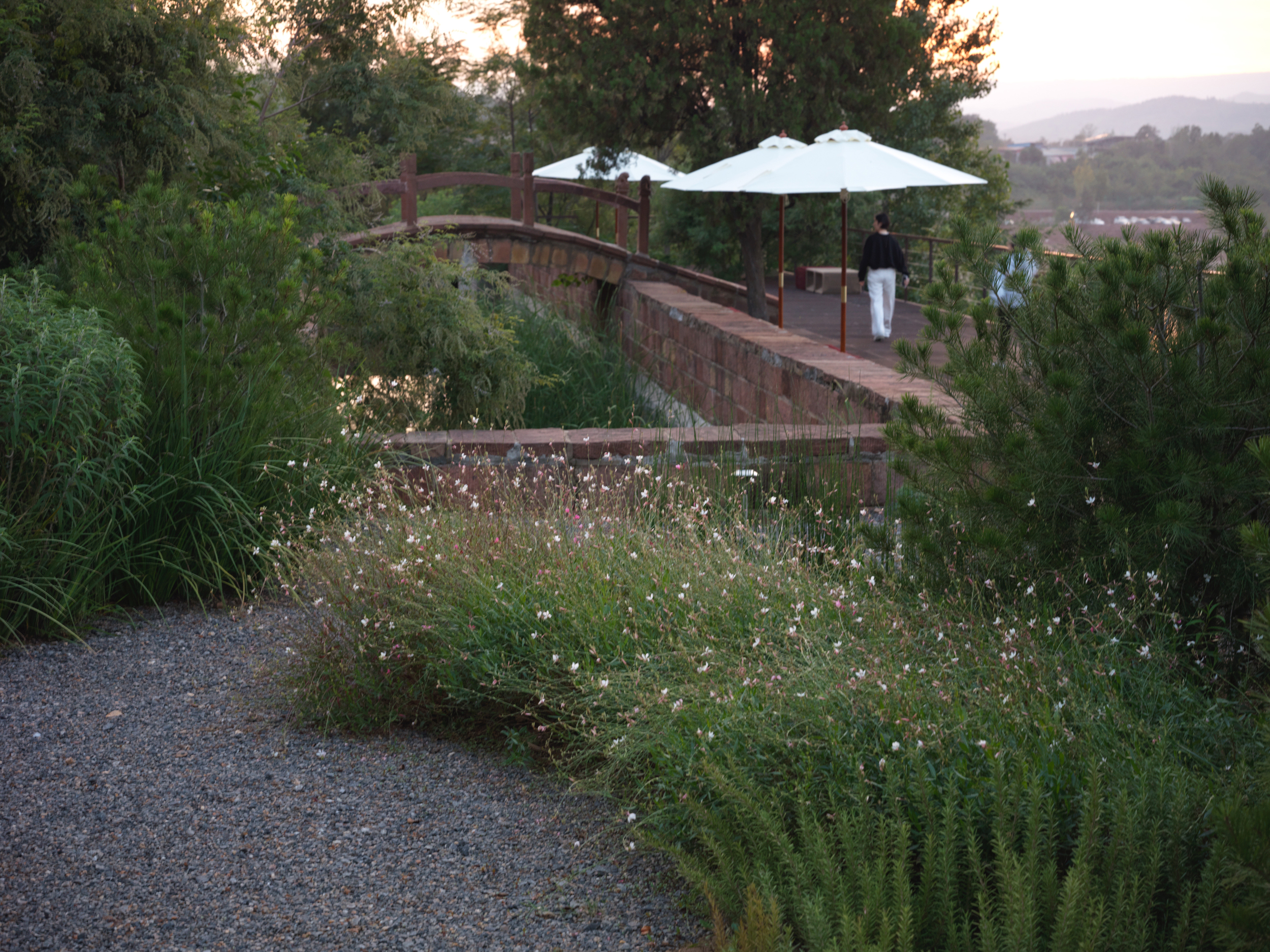 谷堆白沙 一期 景观丨中国白沙丨boll是园-154