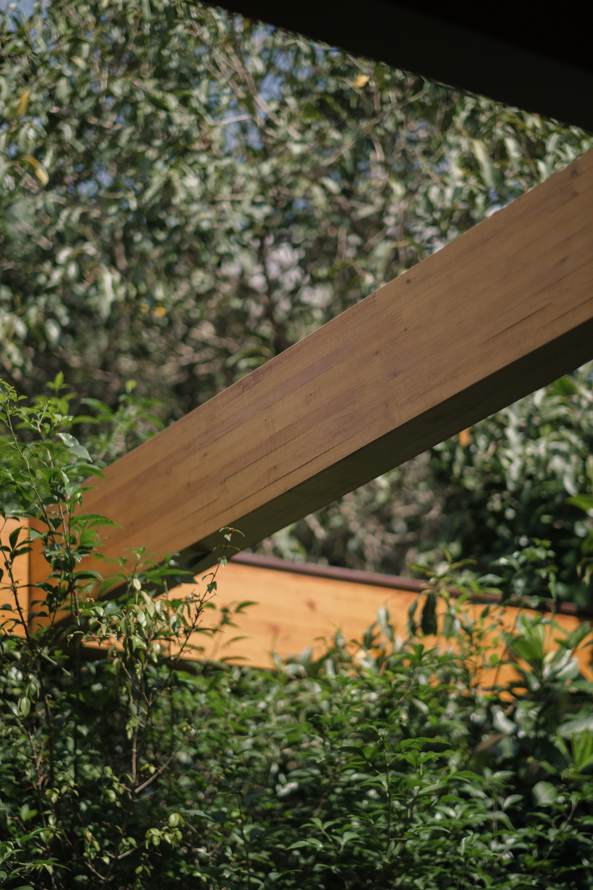 丨巴西丨NV Arquitetura-32