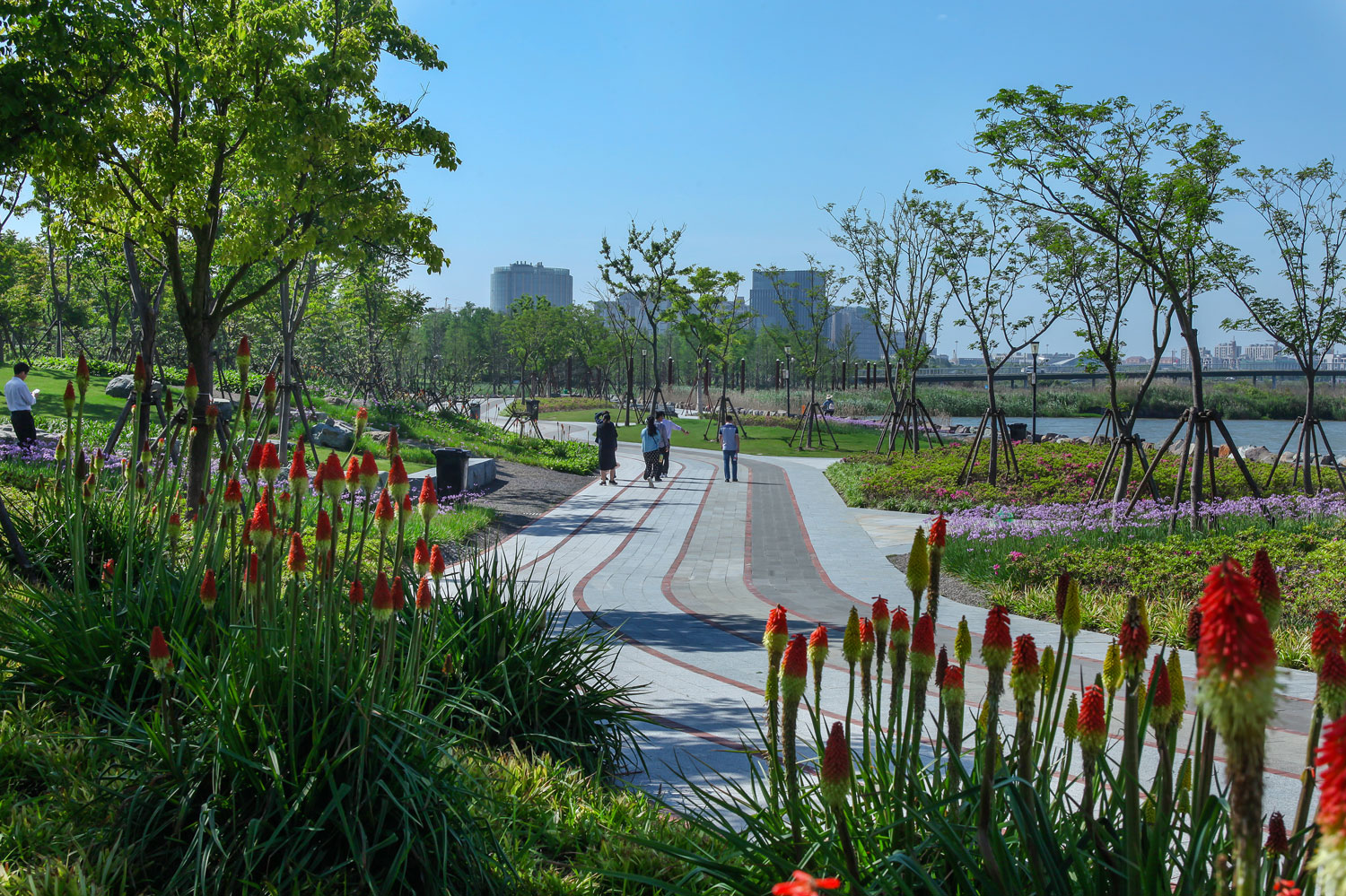上海临港港城滴水湖绿色带线性公园-14